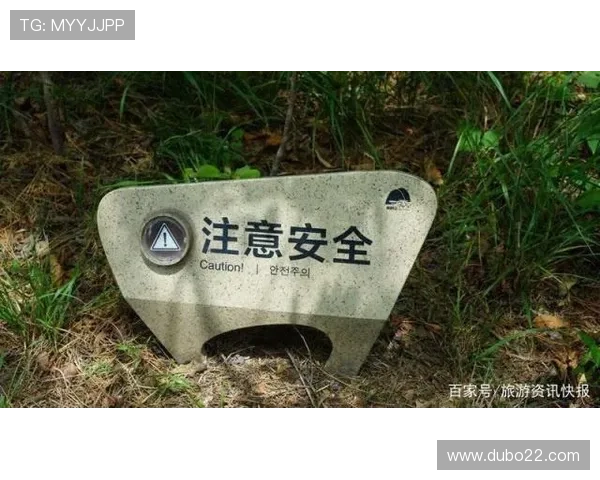 云顶赌场的安全措施：保障游客的安心体验